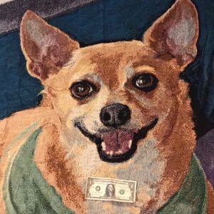 Chi WowWow TapestryWoven Throw New